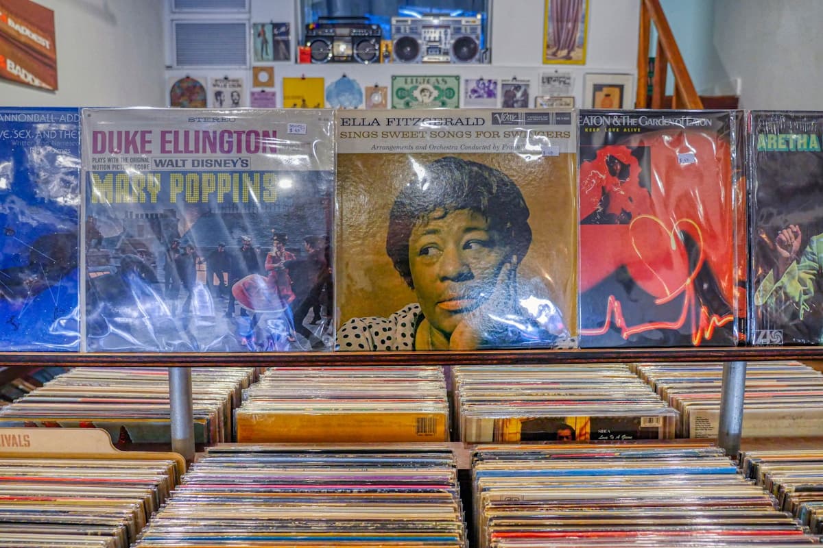 Kako organizovati kolekciju vinilnih ploča